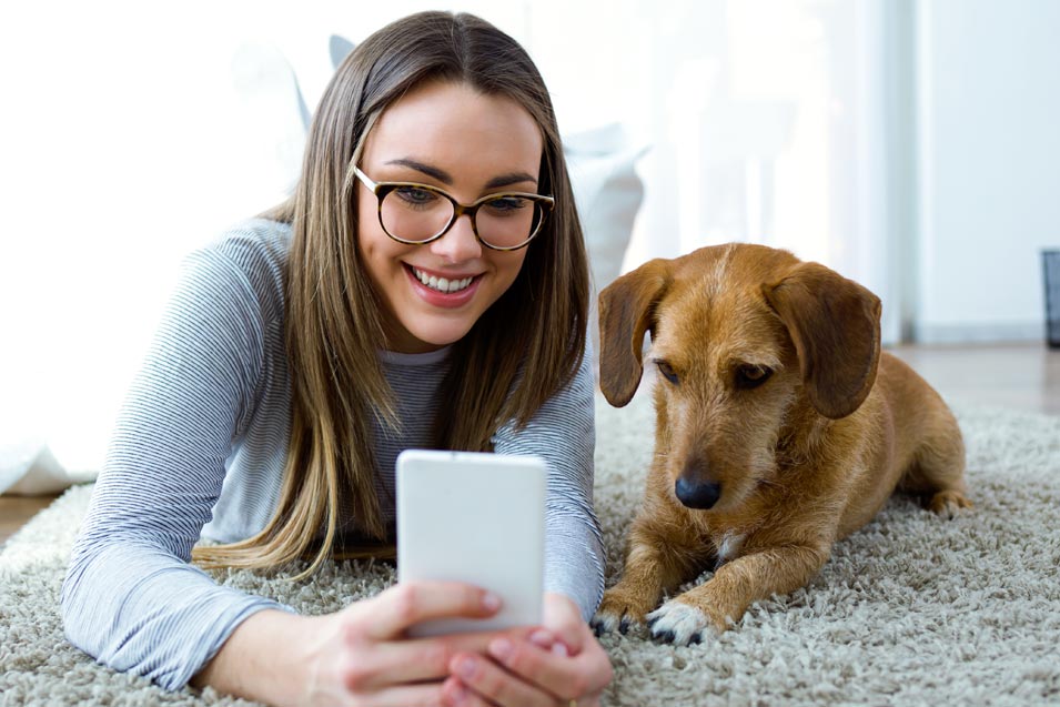 Picture of a dog and girl looking at a iphone