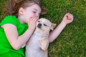 Picture of dog and girl laying on the grass