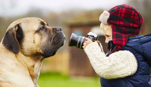 Picture of boy taking a picture of a dog