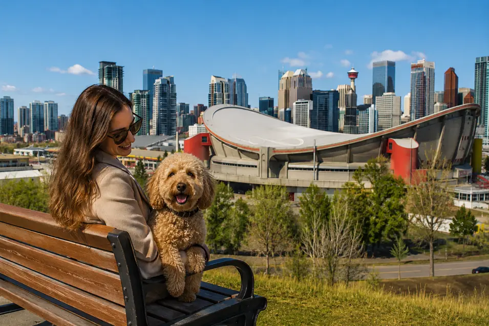 Woman sitting with a dog on a bench overlooking Calgary's skyline and the Saddledome on a sunny day.