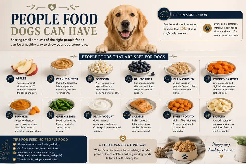High-end infographic featuring 12 people foods dogs can safely enjoy, with serving tips, moderation advice, and a happy Golden Retriever.