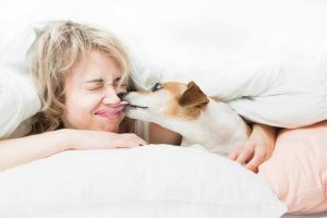 Picture of dog licking a woman face
