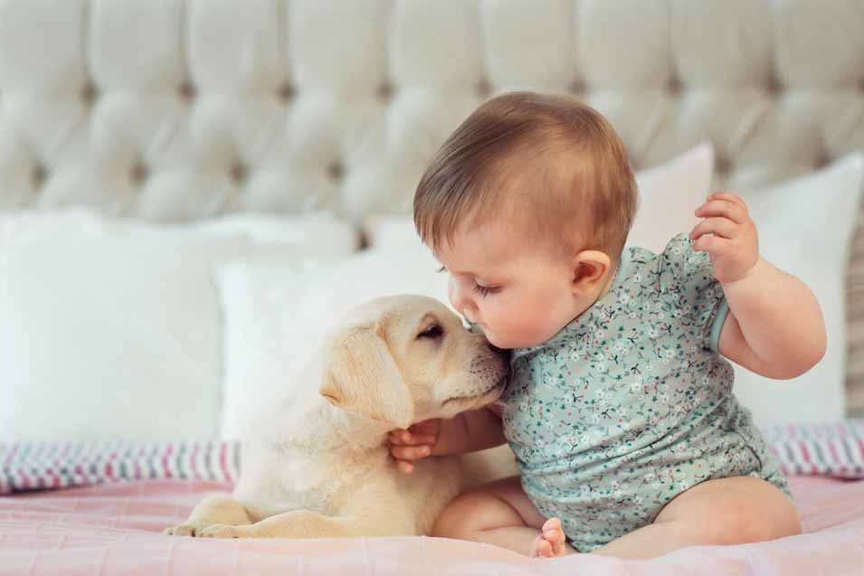Picture of a baby petting a dog