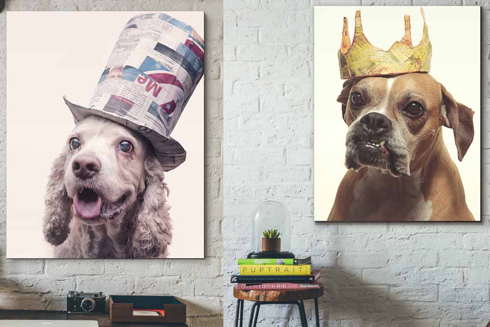 Picture of dog paintings