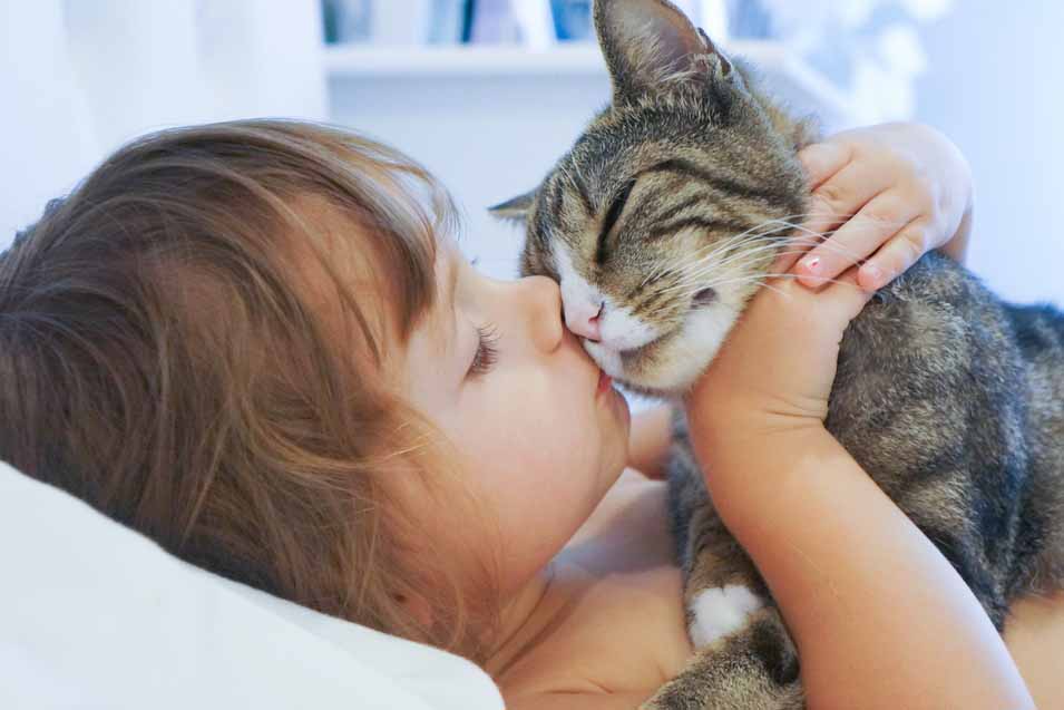 Picture of a girl and a cat