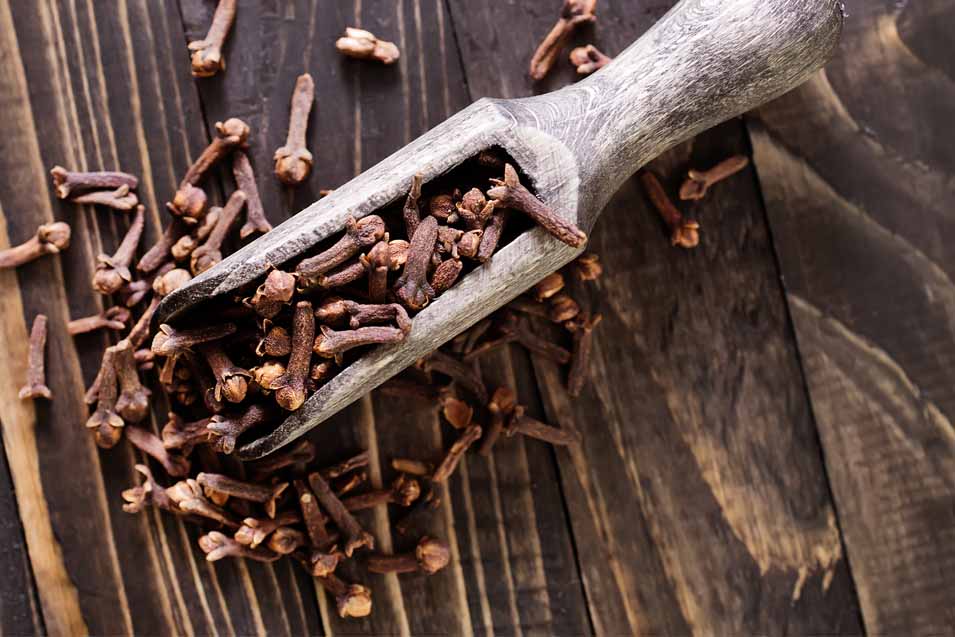 Are cloves safe for dogs and cats