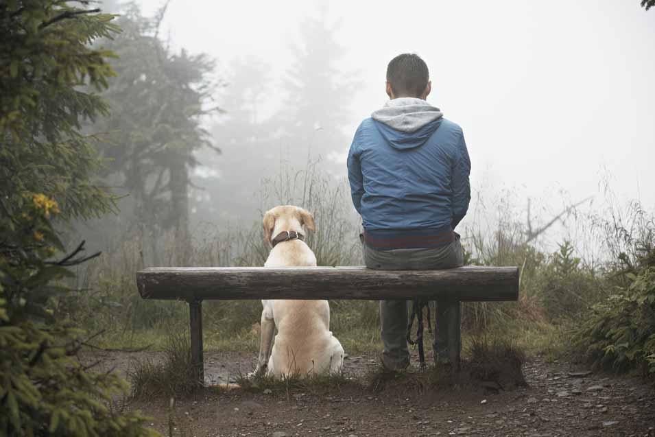 Picture of dog sitting by a man on a bench