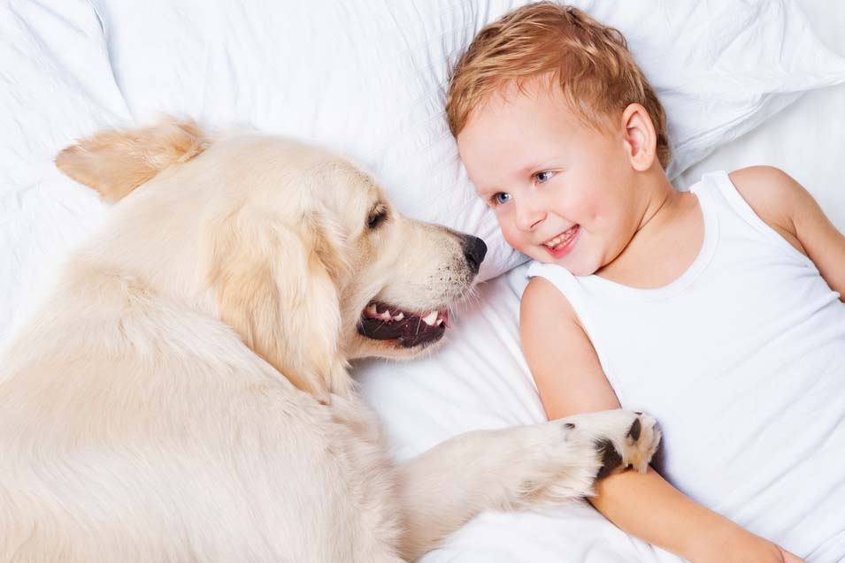 Picture of a boy and his Golden Retriever