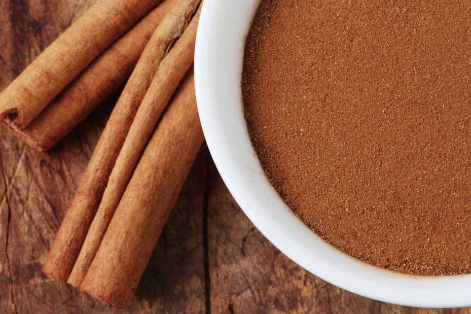 Can Dogs Eat Cinnamon - Is it Safe or Harmful?