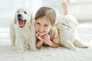 Image of 2 puppies and a girl on a rug