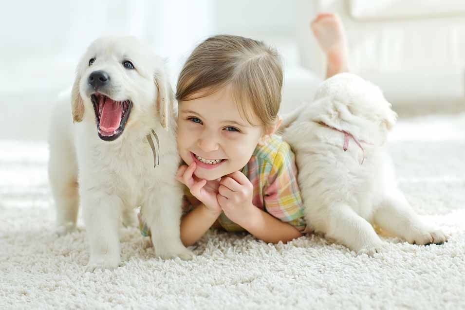 Image of 2 puppies and a girl on a rug