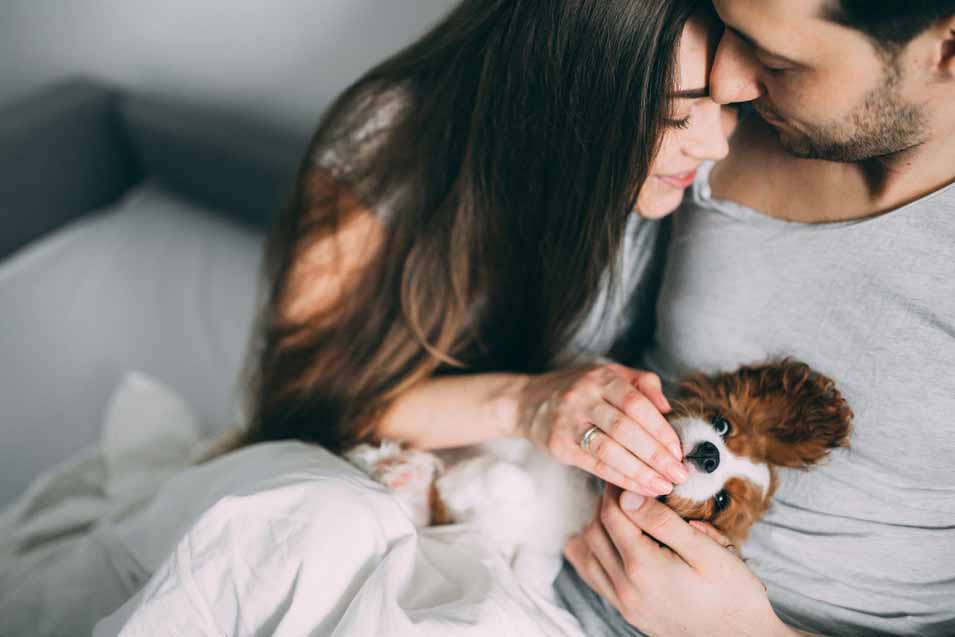 Picture of a couple and their cavalier king charles spaniel puppy