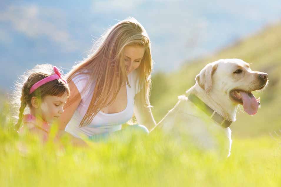 Picture of a family in a field with a dog