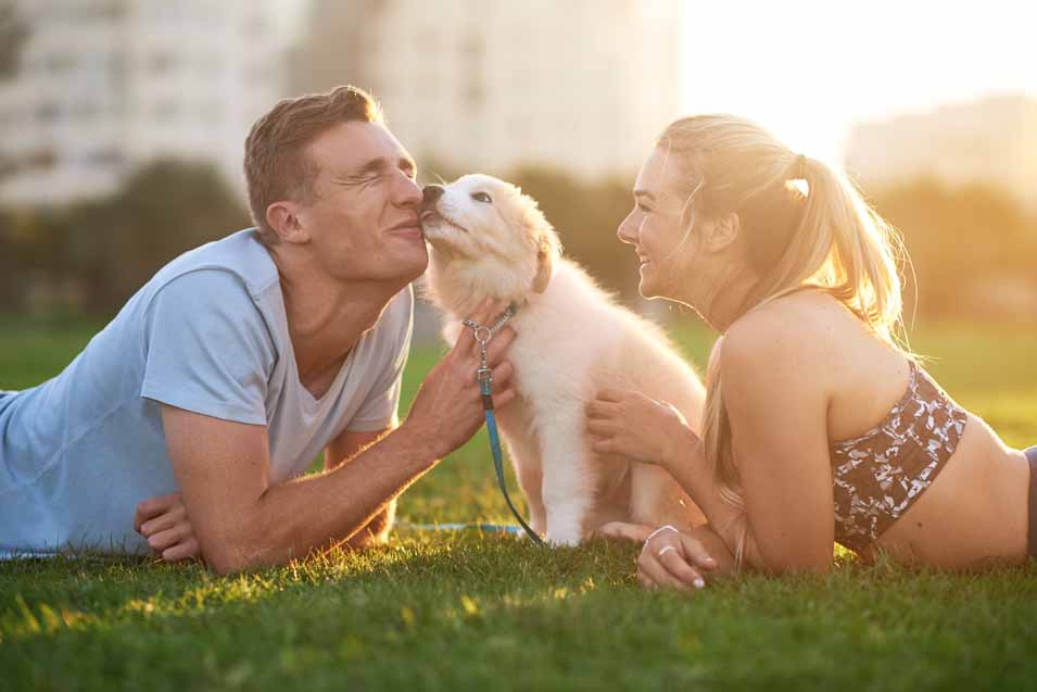 Picture of couple with a puppy
