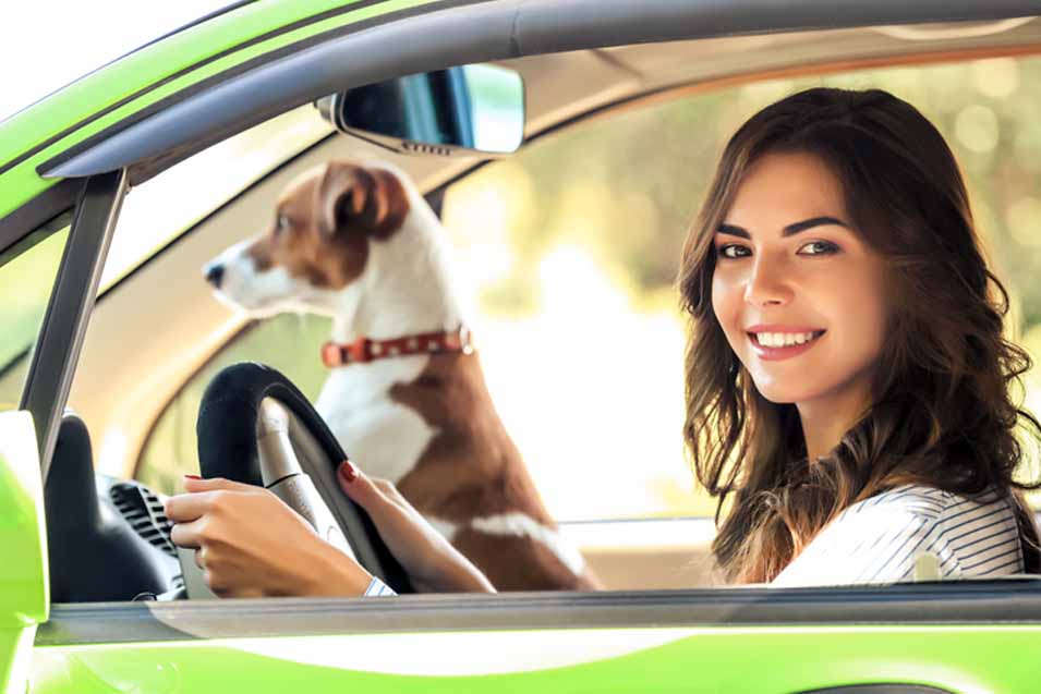 Picture of woman driving with a dog