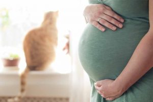 Picture of pregnant woman and a cat