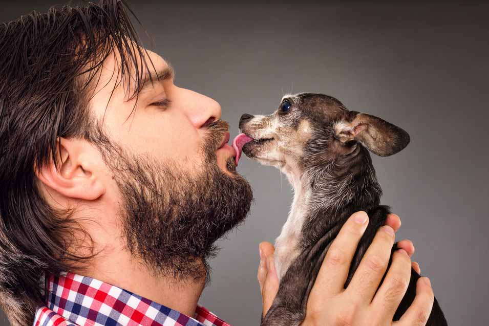 Picture of a dog licking a mans face