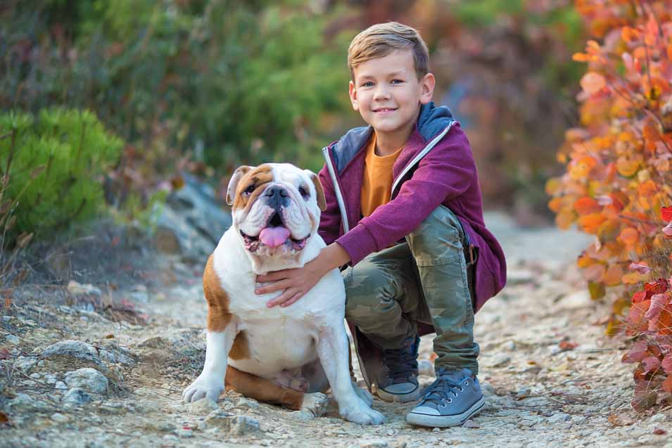 Picture of a boy and a bulldog