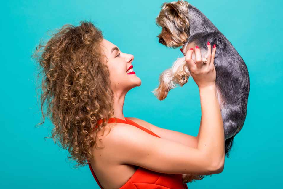 Picture of woman holding a Yorkshire Terrier