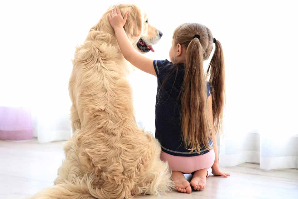 Picture of girl petting a dog