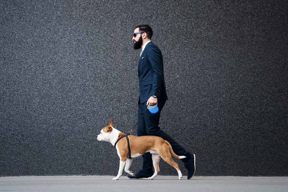 Picture of man in a suit walking a dog