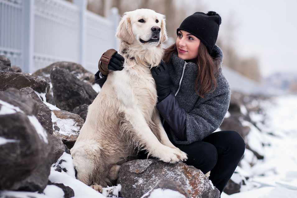 Picture of Golden Retriever and woman during winter