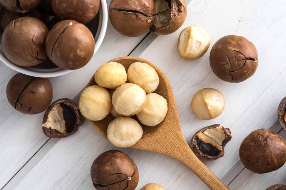 Picture of Macadamia nuts 