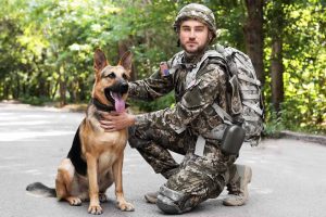 Picture of a solider and his dog