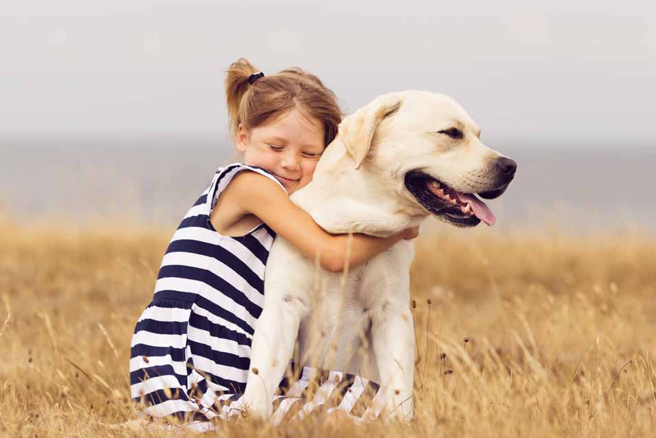 Picture of a Labrador Retriever and girl in a field