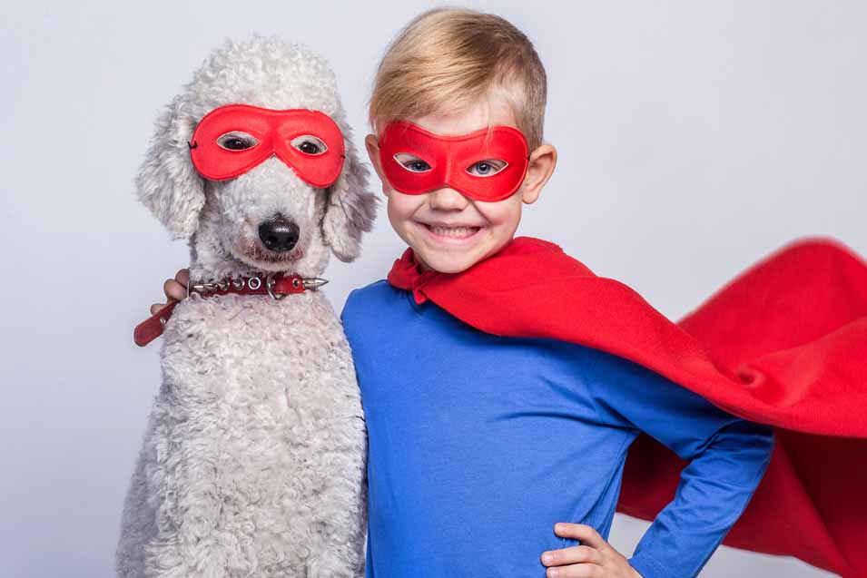 Picture of a Poodle and a boy dressed up