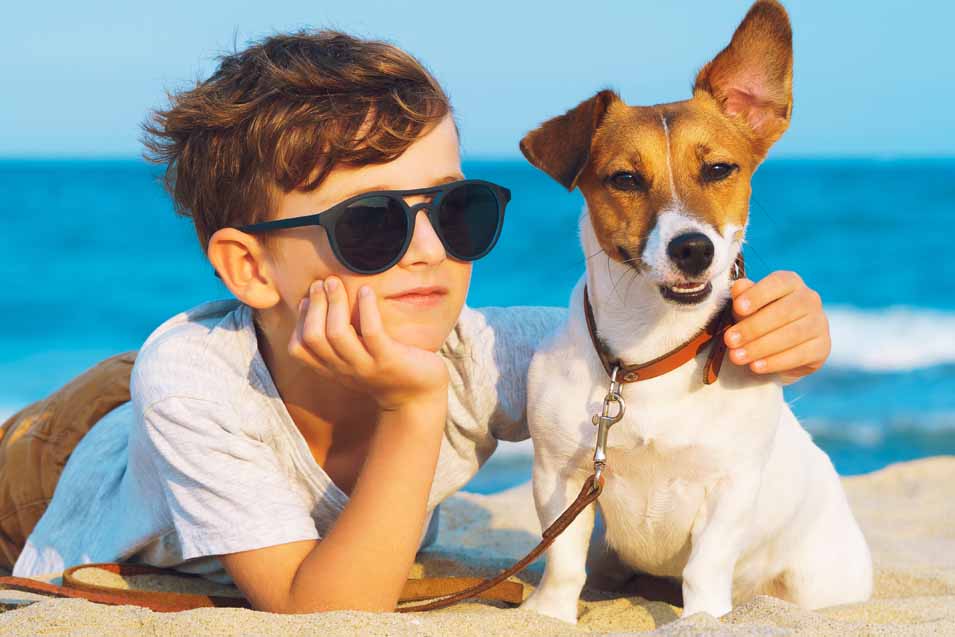 Picture of a boy and his Russell Terrier at the beach