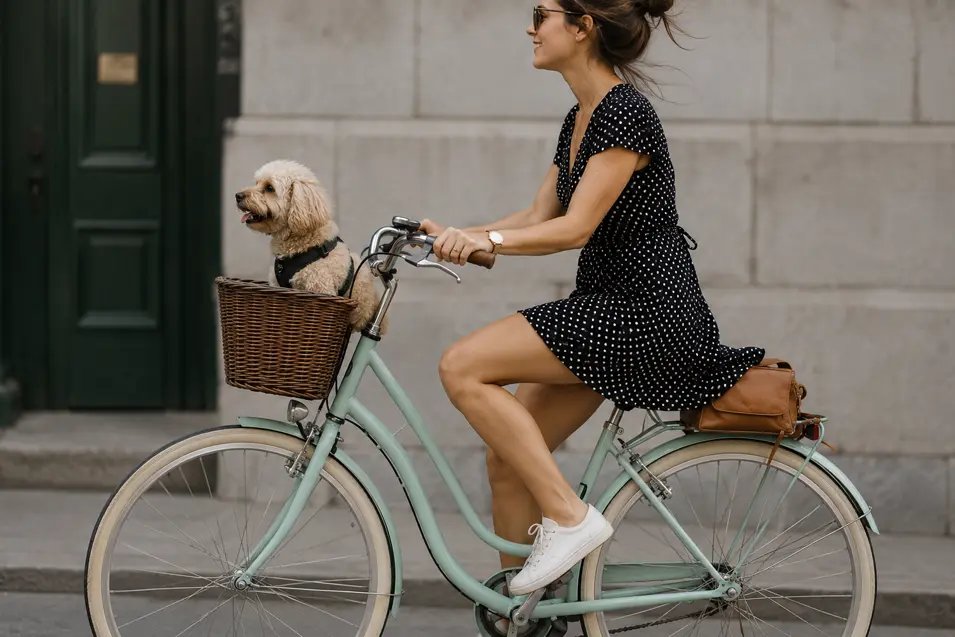 A woman rides a mint-green vintage bicycle through the city with her small dog happily perched in a wicker front basket.