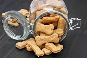 homemade dog treats