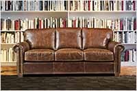 Picture of a Cat Friendly Leather Sofa