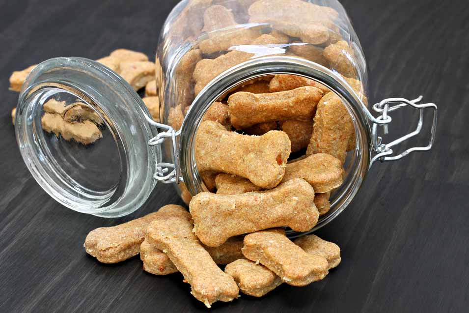 Picture of a jar of dog treats