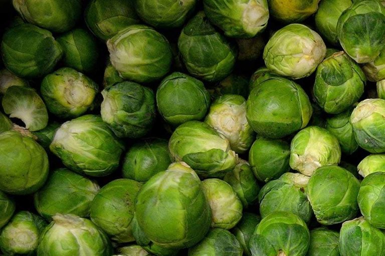 Picture of a bunch of brussels sprouts