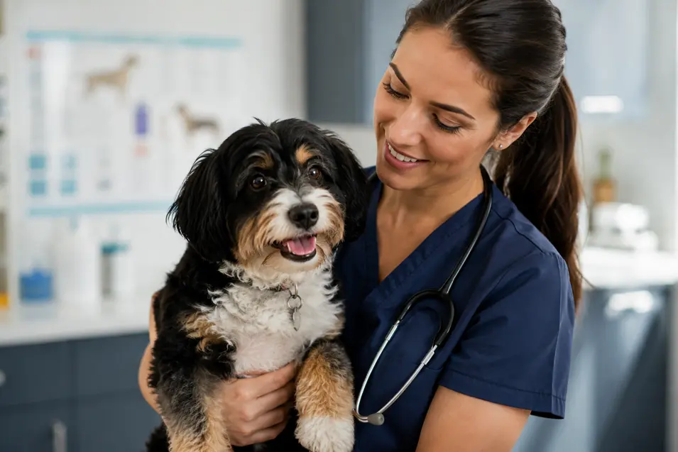 A caring veterinarian in navy scrubs holds a happy dog in a bright, modern veterinary clinic.