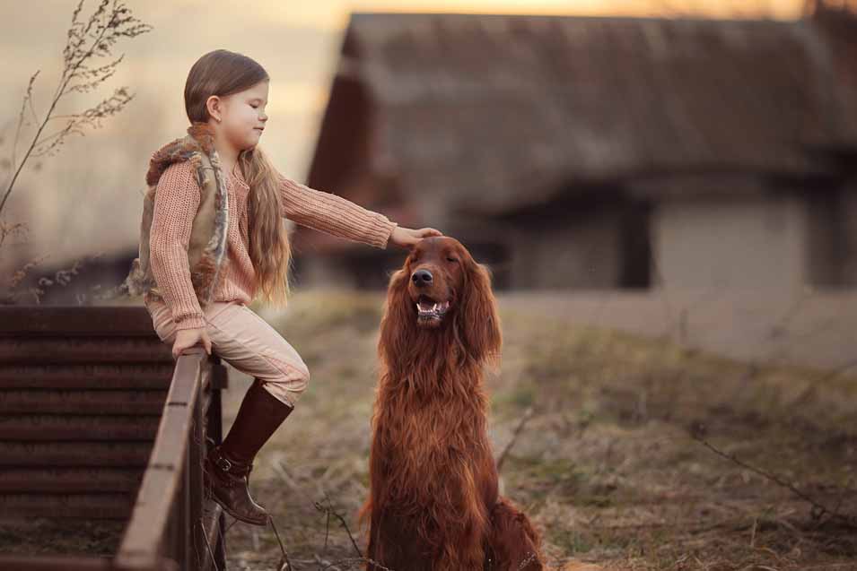 Picture of a girl and an Irish Setter