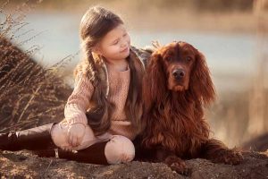 Picture of a Irish Setter and a Girl