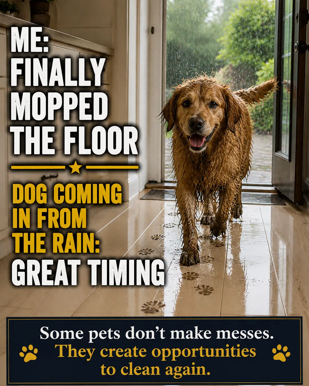 A muddy, rain-soaked dog walks across a freshly mopped floor, leaving wet paw prints behind and giving its owner another reason to clean.