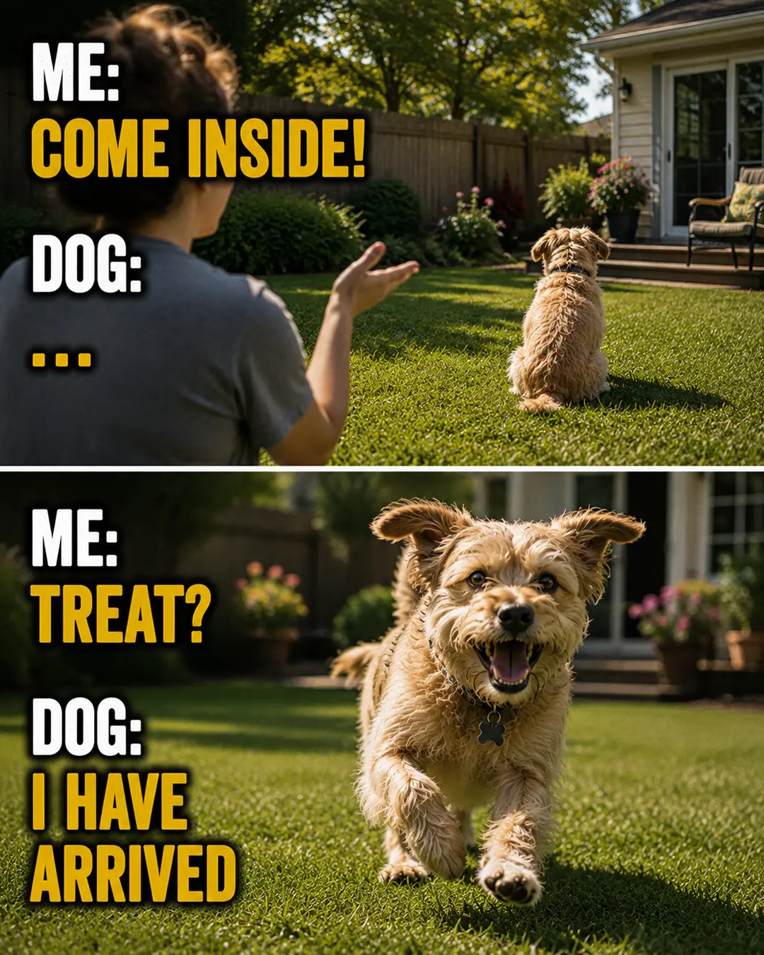 A dog ignores “come inside” from across the yard but sprints toward its owner the instant it hears the word “treat.”