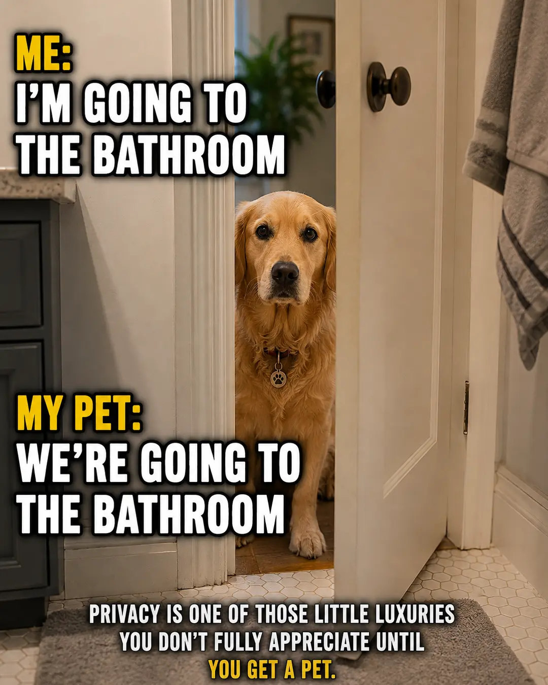 A devoted dog peeks through a partially open bathroom door, proving that once you have a pet, even bathroom trips become a group activity.