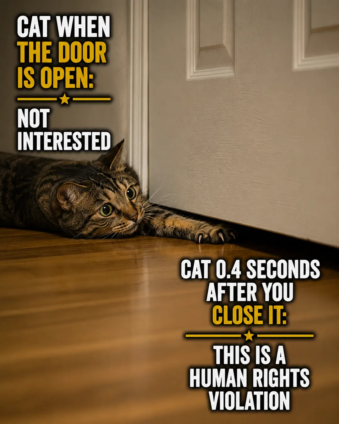 A determined cat reaches under a closed door, suddenly desperate to enter the room it completely ignored while the door was open.