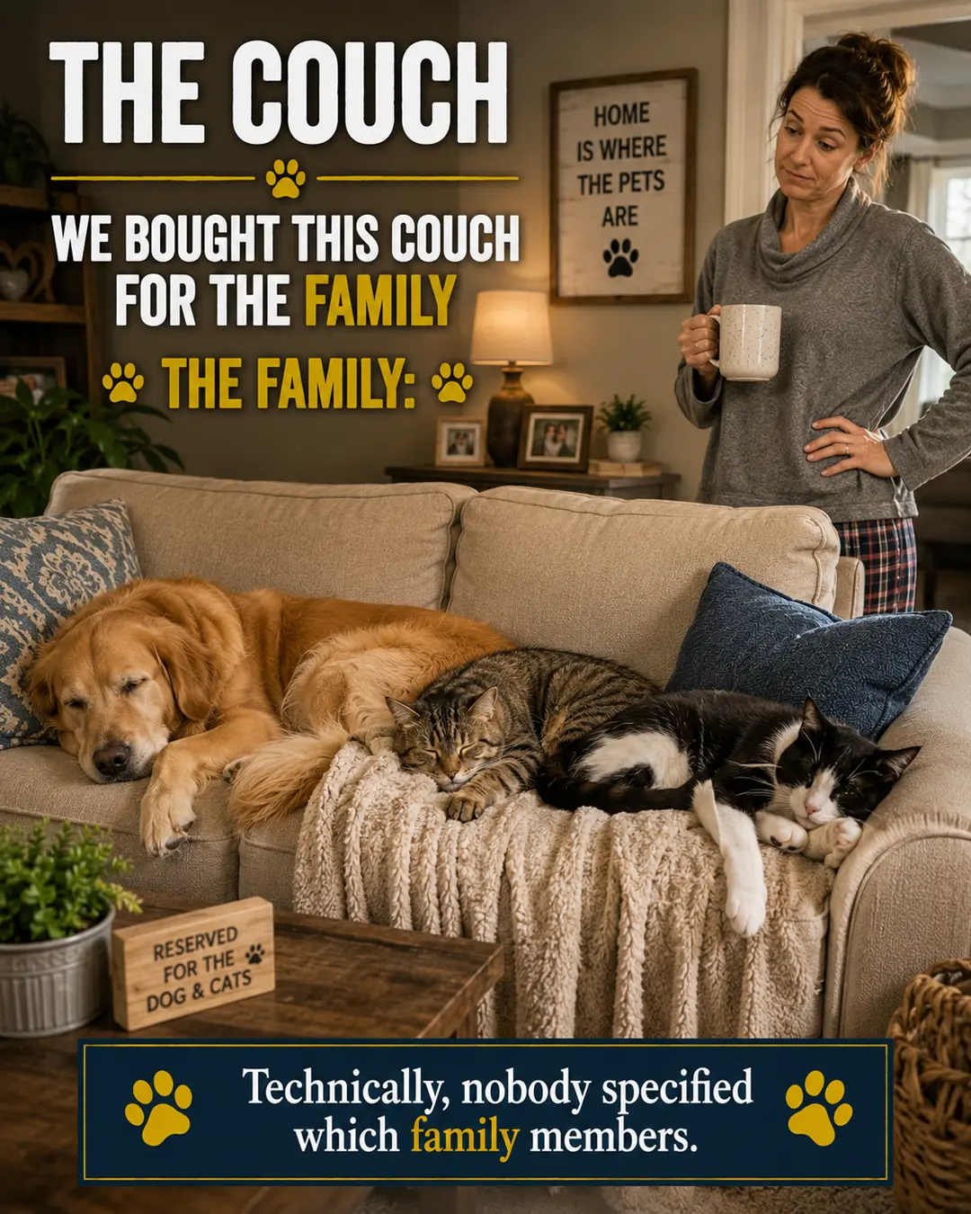 A dog and two cats take over the entire family couch while their coffee-holding human stands nearby with nowhere left to sit.