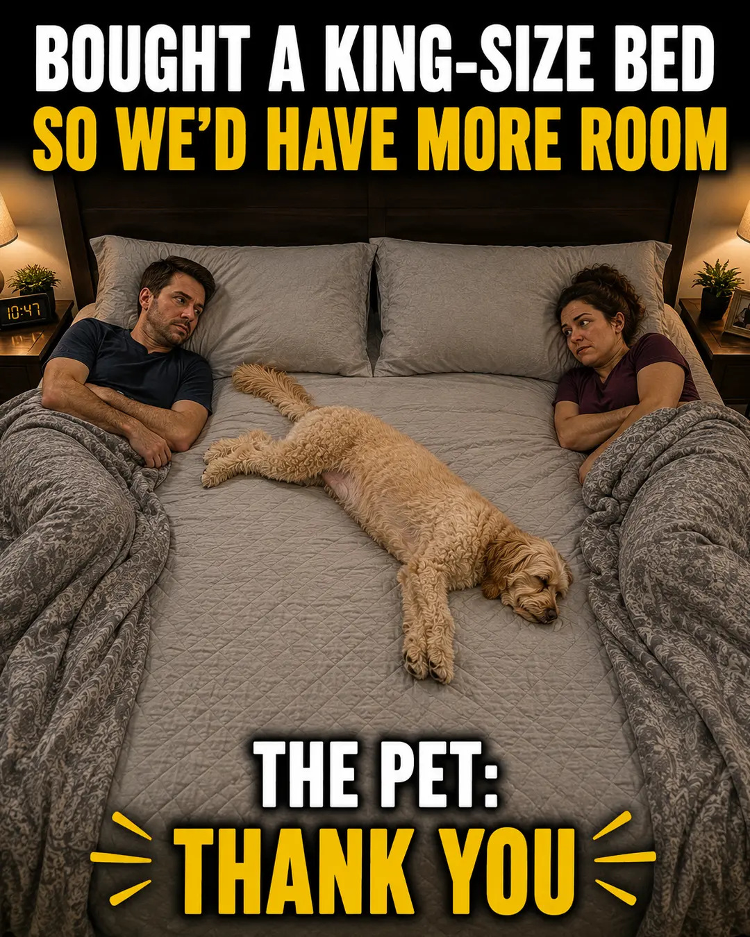 A small dog claims the middle of a king-size bed, leaving its owners squeezed to the edges and wondering who the extra space was really for.