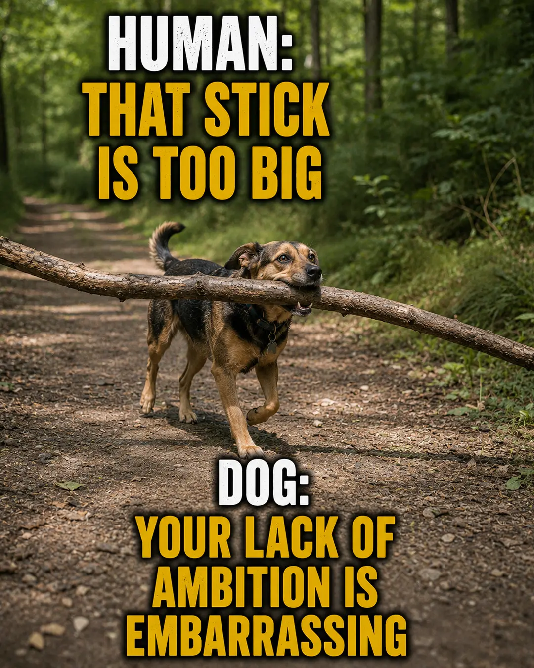 A determined dog proudly carries an absurdly oversized branch down a forest trail, refusing to accept that any stick could be too big.