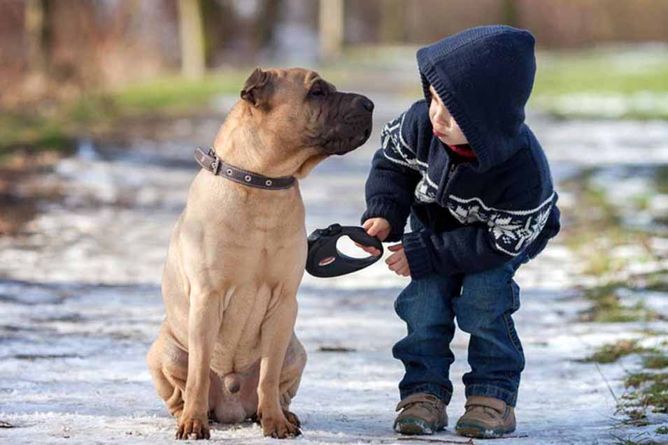 Picture of a boy and dog