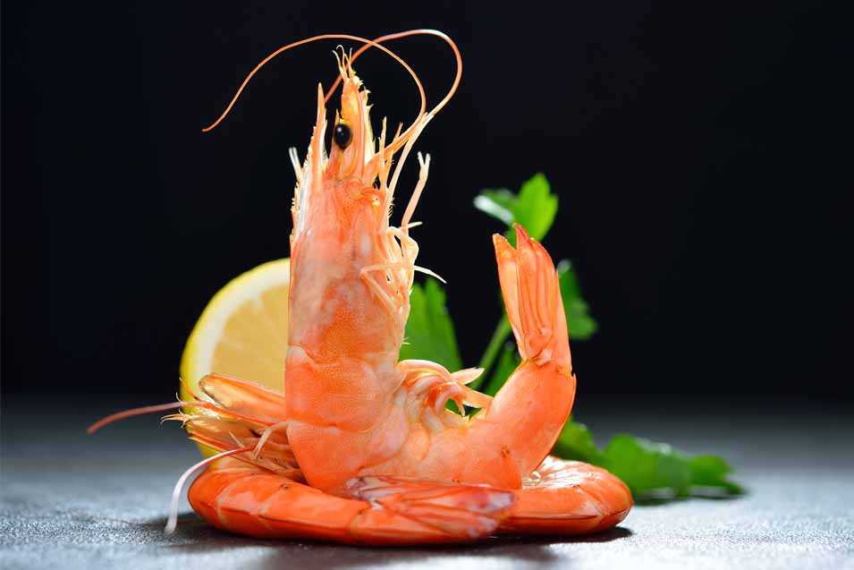 Picture of a cooked prawn