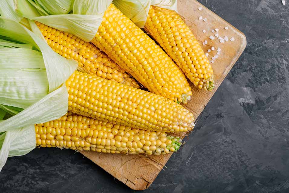 Picture of corn on the cob