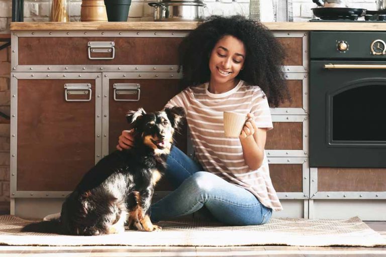 How to Get Parvo Out of Your Home Indoors and Outdoor